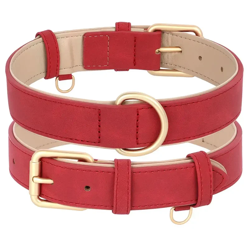 Laisse Et Collier Doux Rembourré Pour Chien