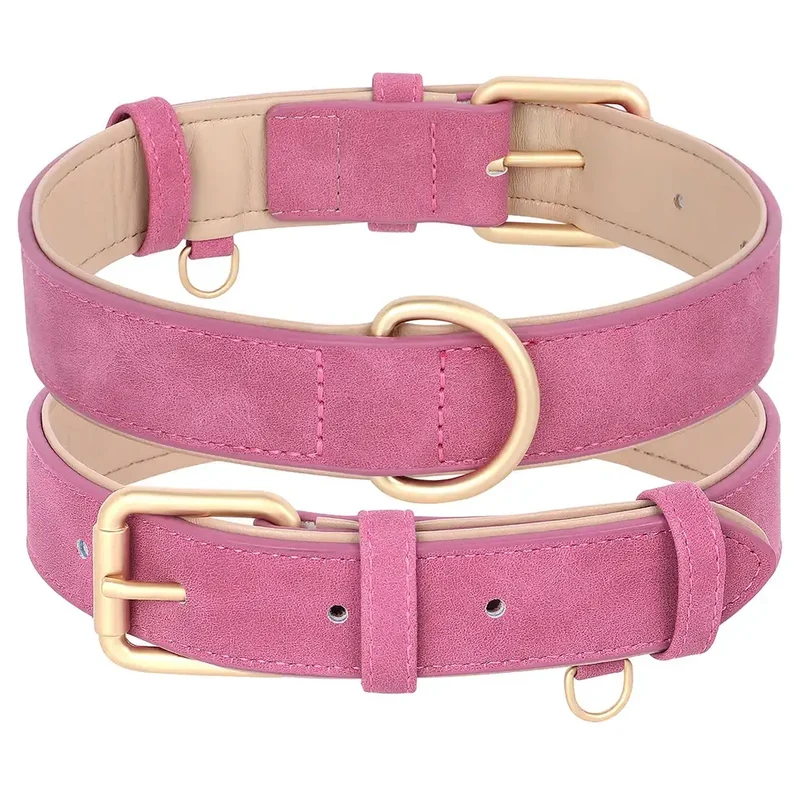 Laisse Et Collier Doux Rembourré Pour Chien