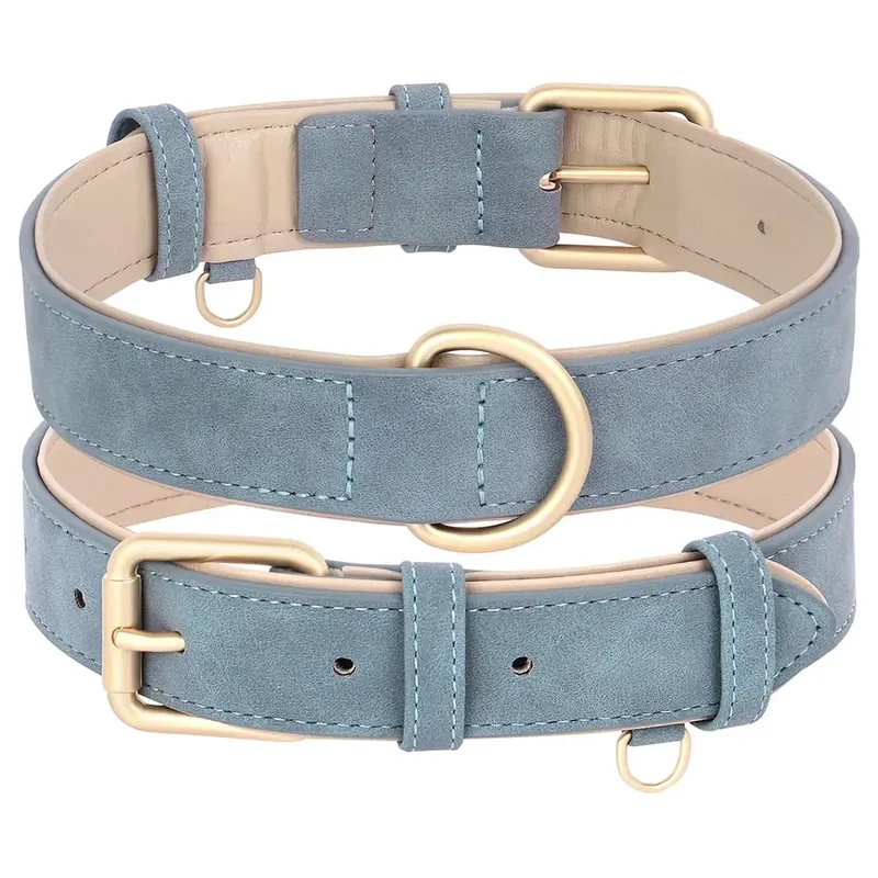 Laisse Et Collier Doux Rembourré Pour Chien