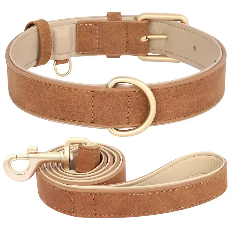 Laisse Et Collier Doux Rembourré Pour Chien