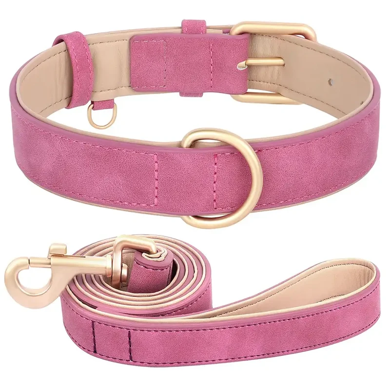 Laisse Et Collier Doux Rembourré Pour Chien