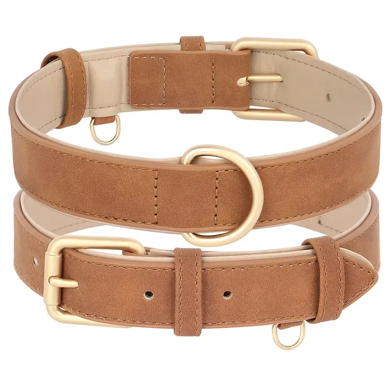 Laisse Et Collier Doux Rembourré Pour Chien