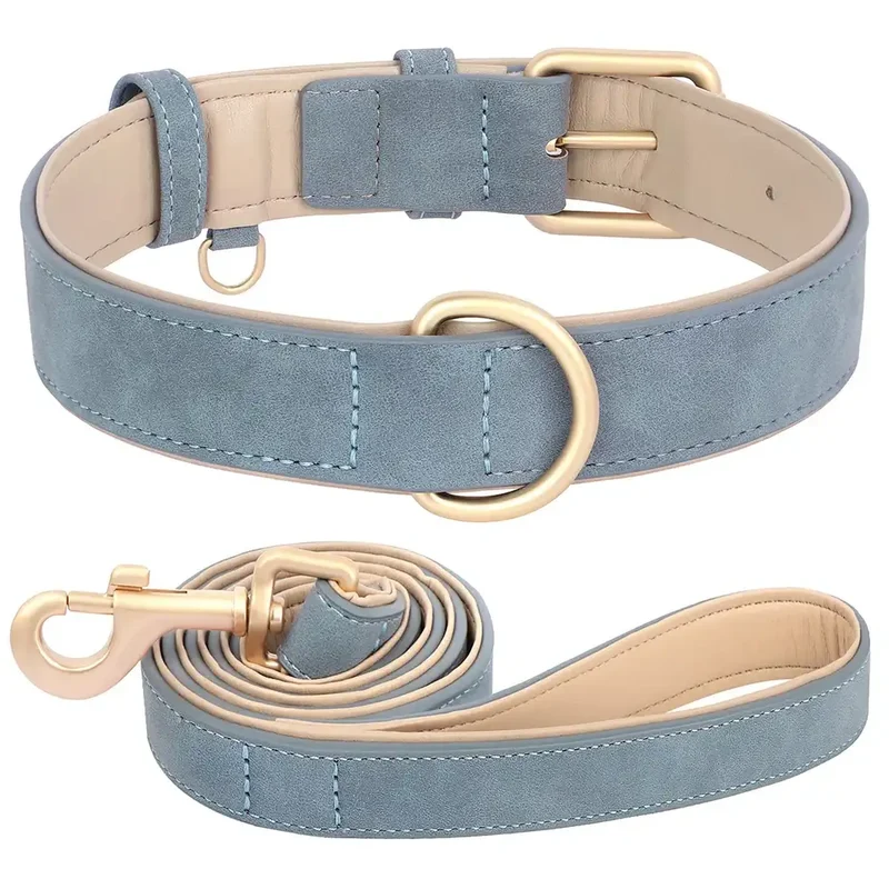 Laisse Et Collier Doux Rembourré Pour Chien