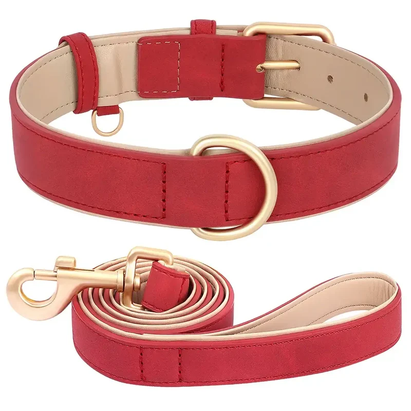 Laisse Et Collier Doux Rembourré Pour Chien