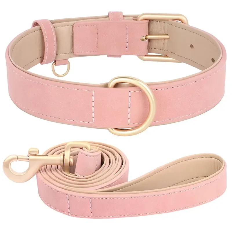 Laisse Et Collier Doux Rembourré Pour Chien