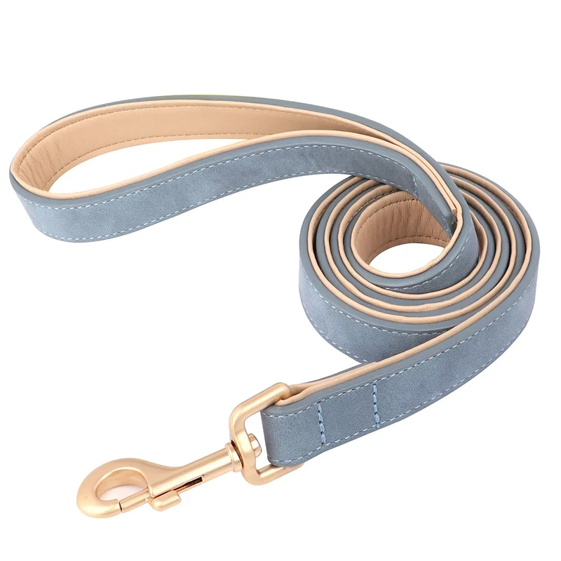 Laisse Et Collier Doux Rembourré Pour Chien