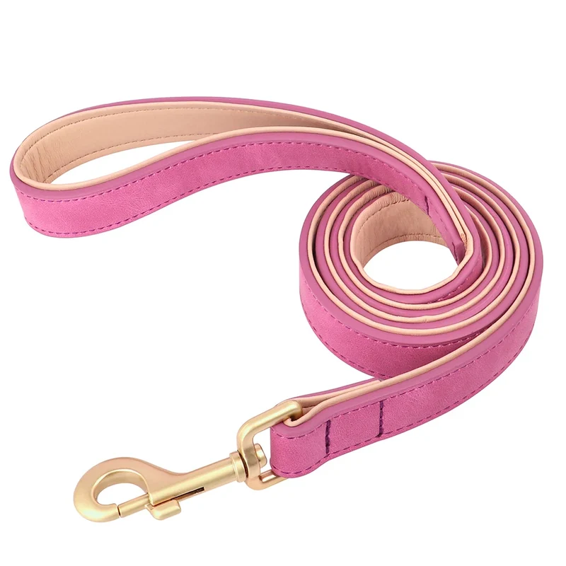 Laisse Et Collier Doux Rembourré Pour Chien