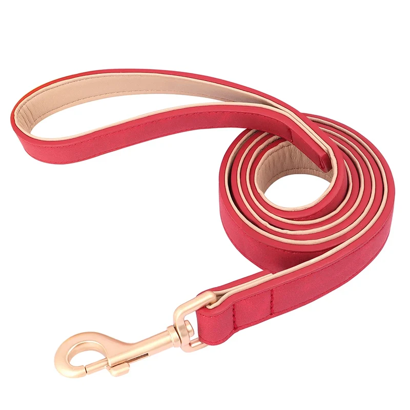 Laisse Et Collier Doux Rembourré Pour Chien