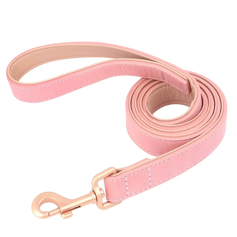 Laisse Et Collier Doux Rembourré Pour Chien