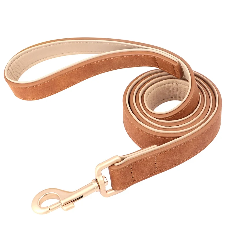 Laisse Et Collier Doux Rembourré Pour Chien