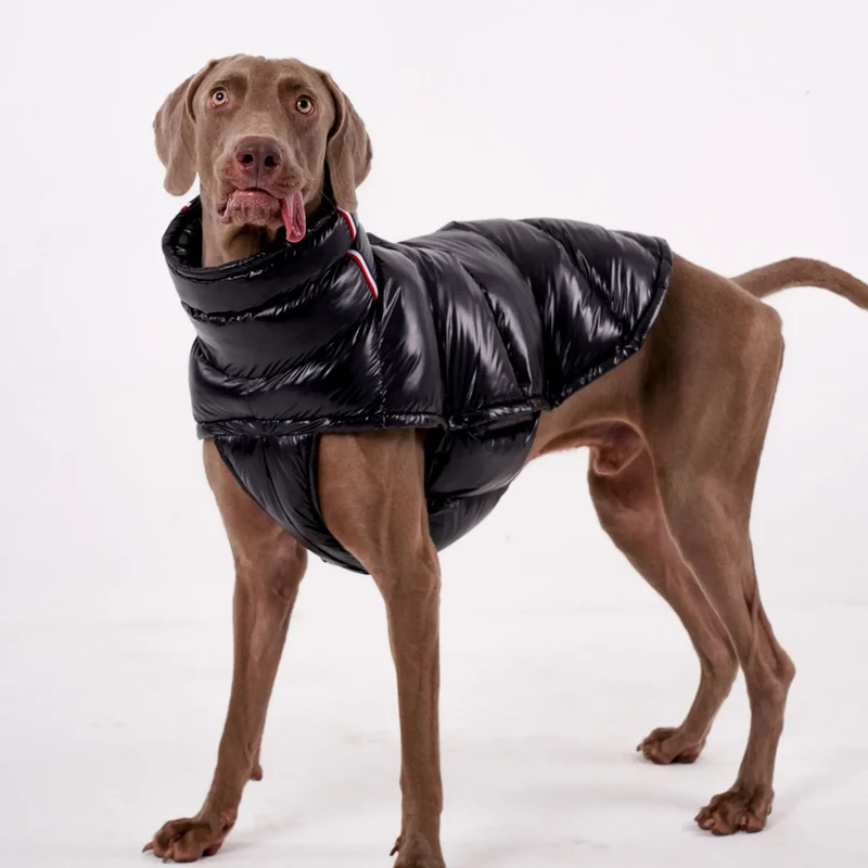 Doudoune Pour Chien À Capuche Doublée Polaire - Les Bonnes Affaires
