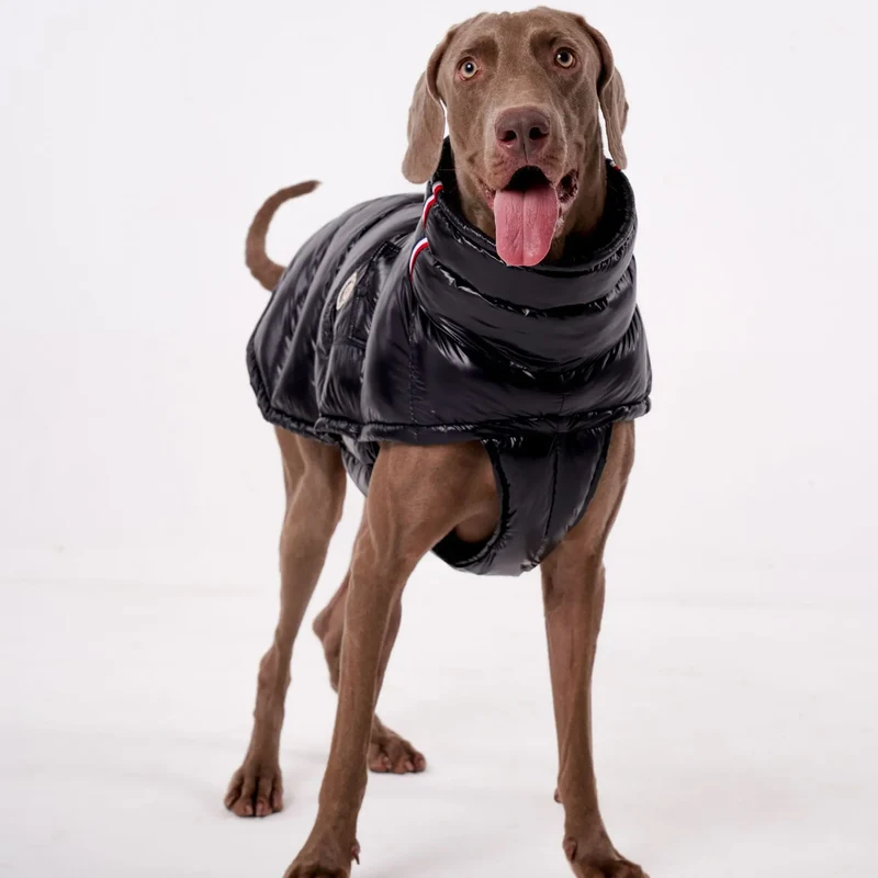 Doudoune Pour Chien À Capuche Doublée Polaire - Les Bonnes Affaires