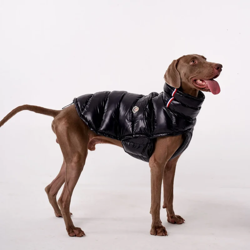 Doudoune Pour Chien À Capuche Doublée Polaire - Les Bonnes Affaires