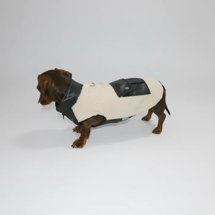 Veste Pour Chien Teckel En Polaire Epaisse