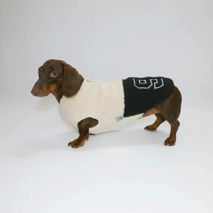 Veste Polaire Confortable Pour Teckel