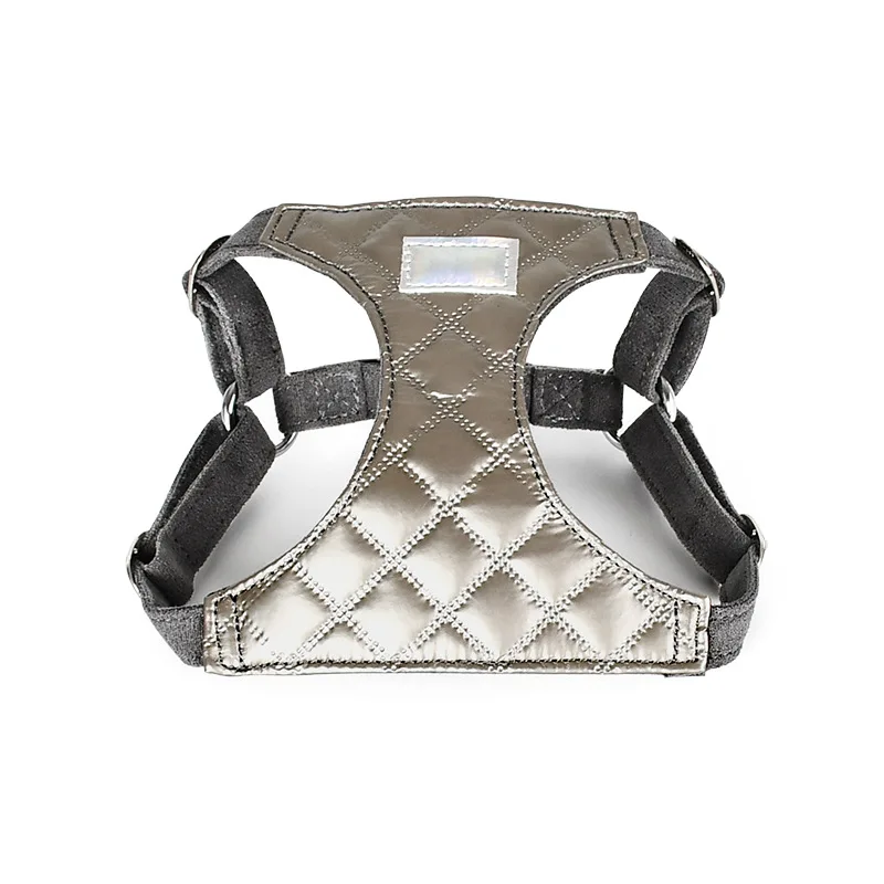 Harnais Avec ou Sans Laisse Design Pour Chien