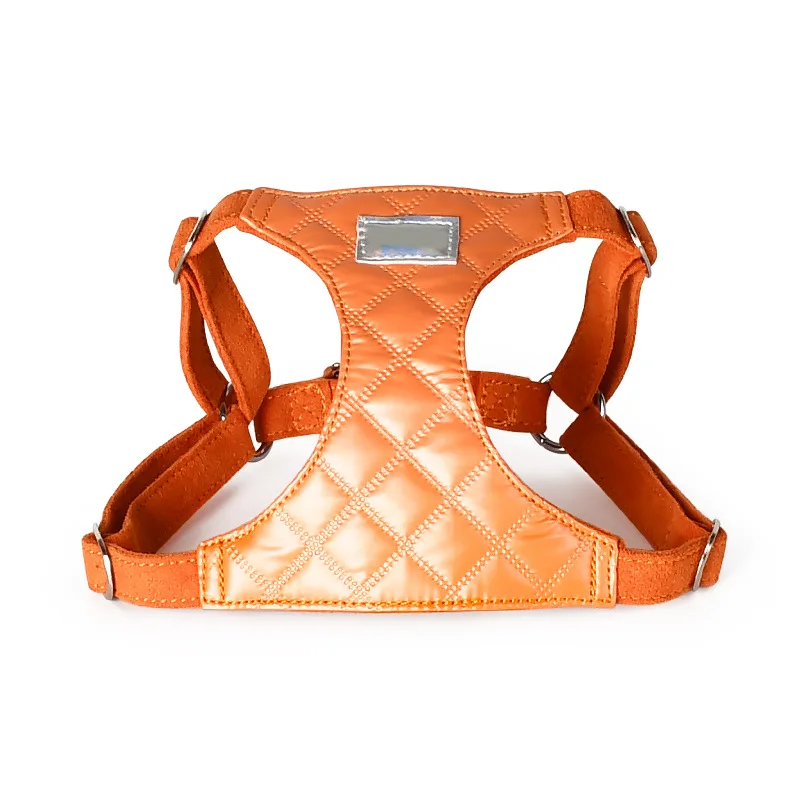 Harnais Avec ou Sans Laisse Design Pour Chien