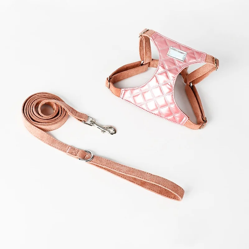 Harnais Avec ou Sans Laisse Design Pour Chien