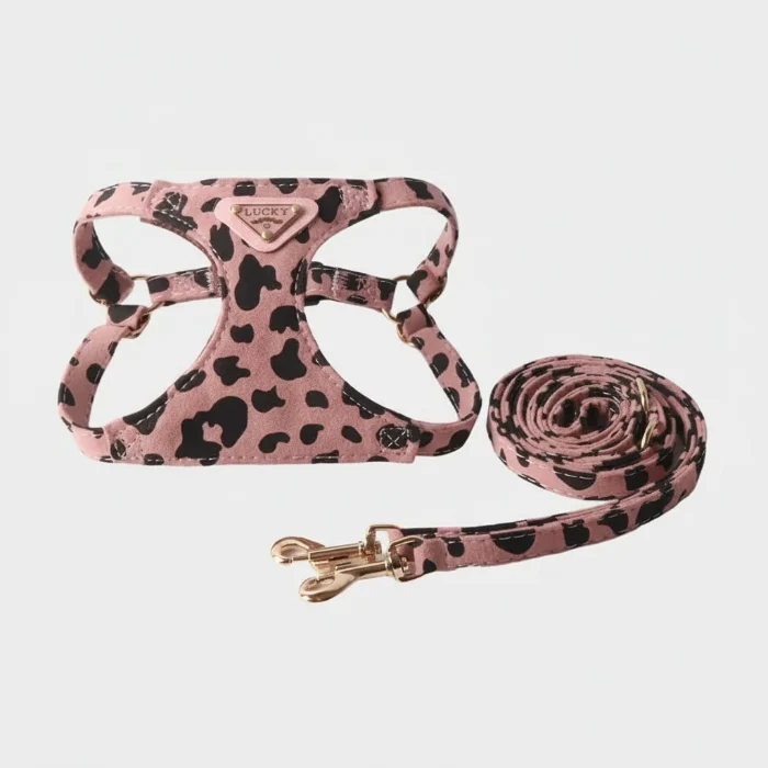 Harnais Avec Ou Sans Laisse Double Crochet Pour Chien