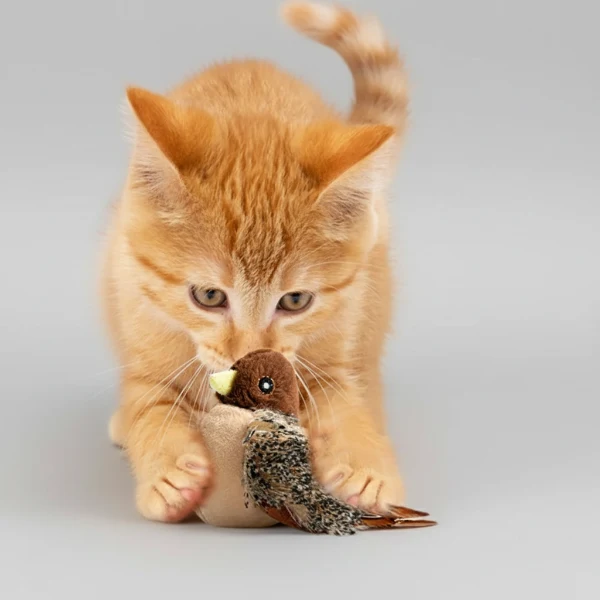 Jouet Oiseau Volant Interactif Pour Chat