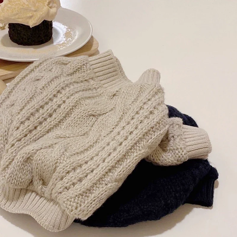 Pull Col Haut Pour Petit Chien Teckel