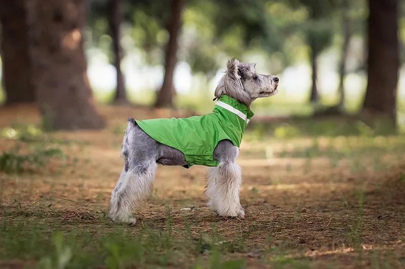 Imperméable Pour Chien Pratique Et Confortable