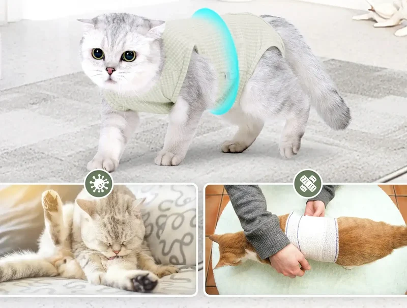 Tee-Shirt Confort Post Opération Pour Chat