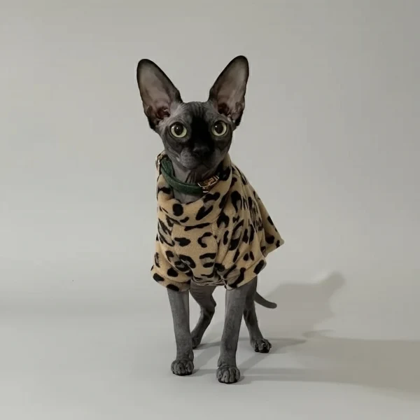Pull Pour Chat Sphynx En Peluche Confort