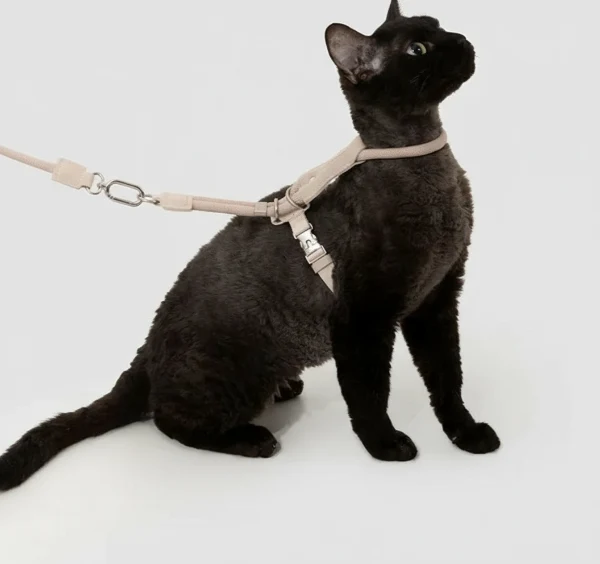 Harnais Et Laisse Pour Chat Réglable