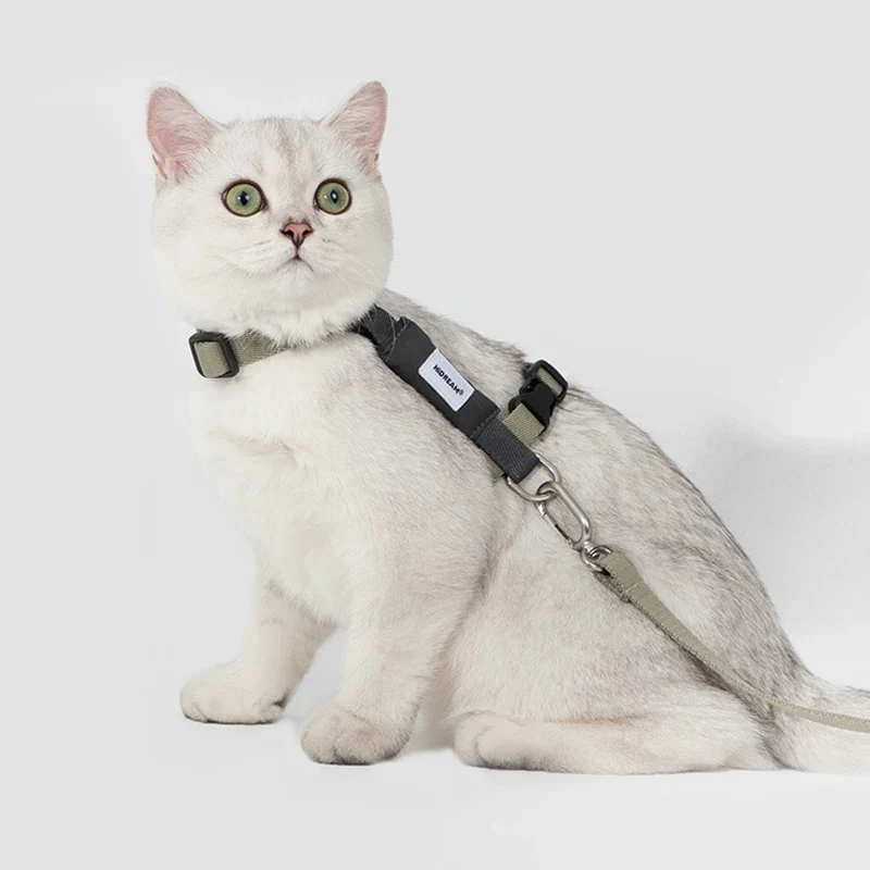 Ensemble Harnais Et Laisse Pour Chat
