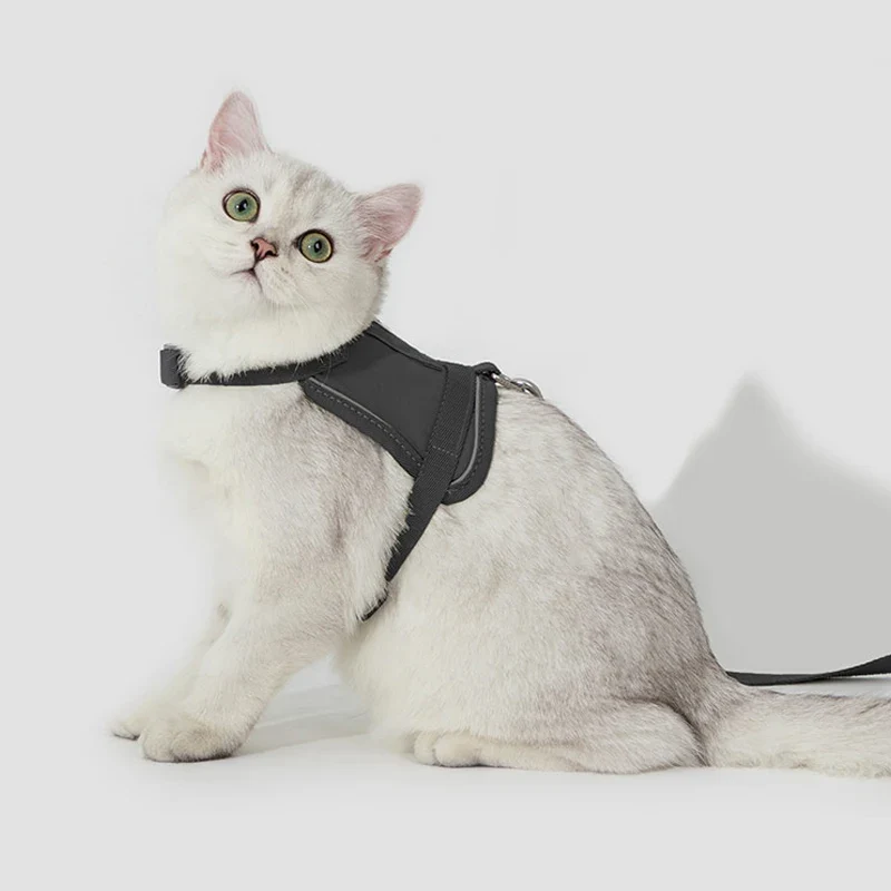 Harnais Réfléchissant Pour Chat Avec Laisse Coordonnée