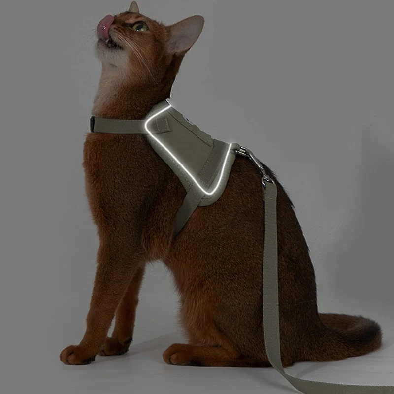 Harnais Réfléchissant Pour Chat Avec Laisse Coordonnée