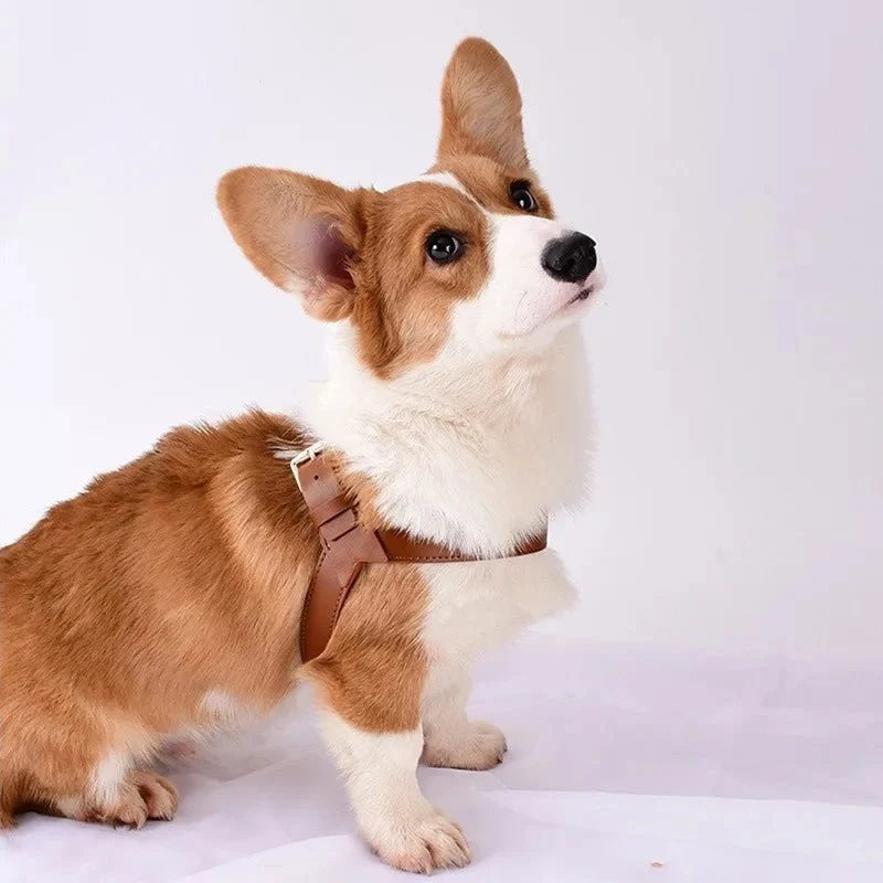 Harnais Et Laisse En Simili Cuir Pour Chien