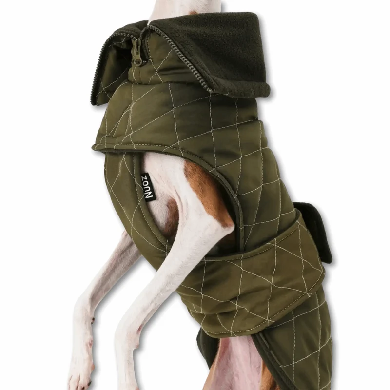 Veste Élégante Et Réglable Pour Lévrier