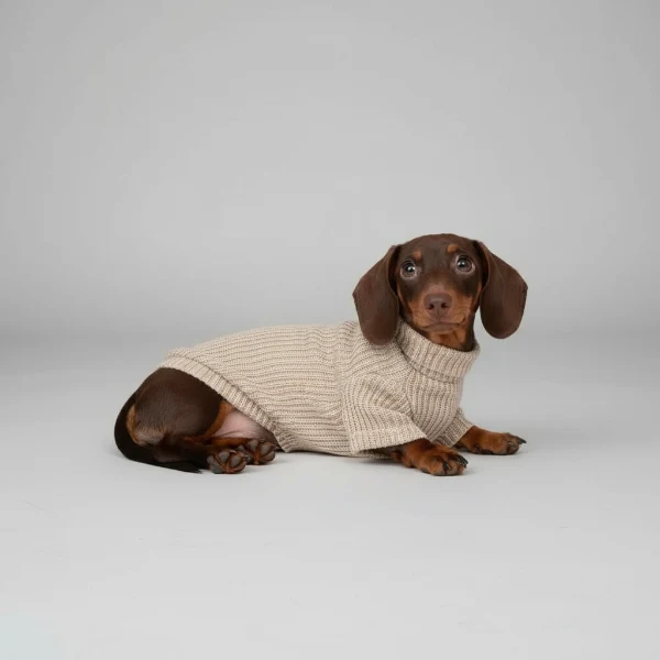 Pull pour Teckel Oscar & Plume : chaleur polaire stylée pour l’hiver en balade