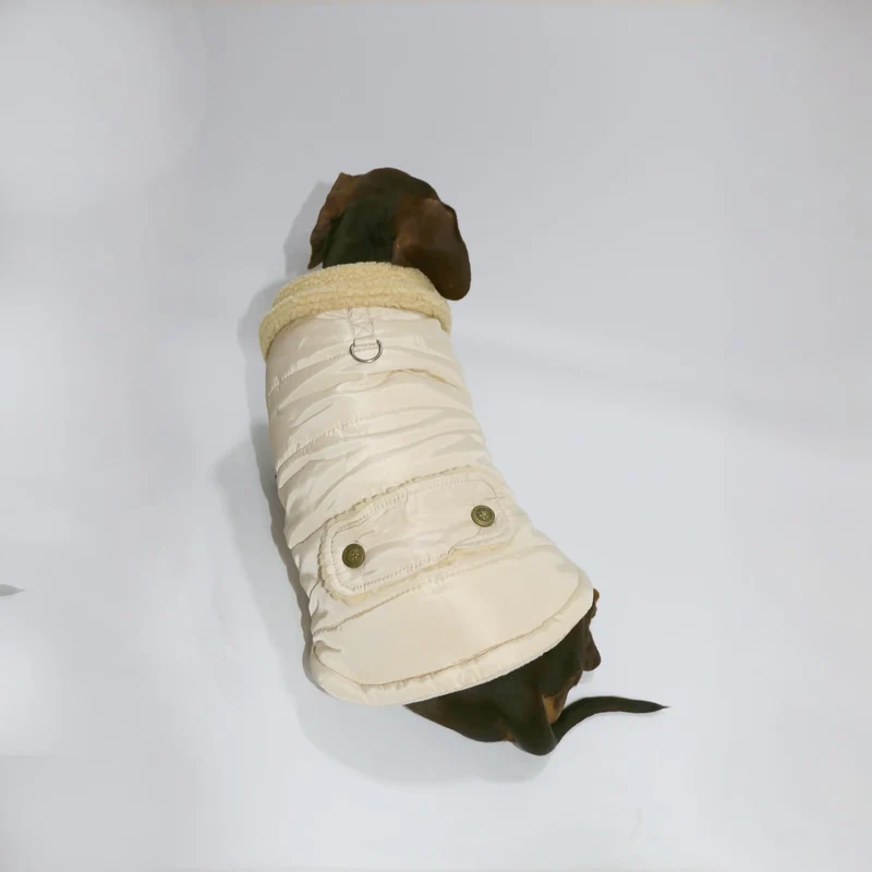 Manteau Teckel Pour Confort Optimal