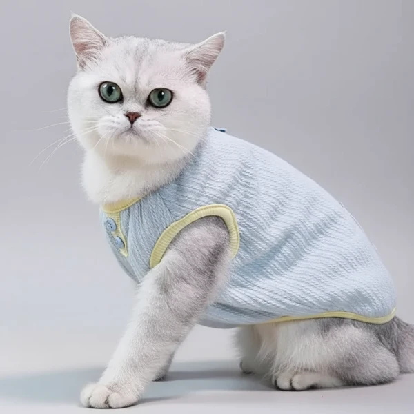 Tee-Shirt Chaud Pour Chat Confortable