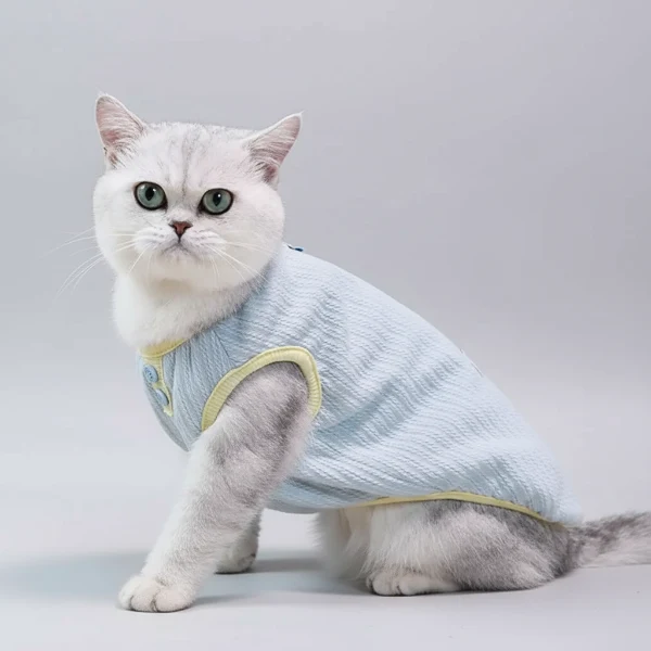 Tee-Shirt Chaud Pour Chat Confortable