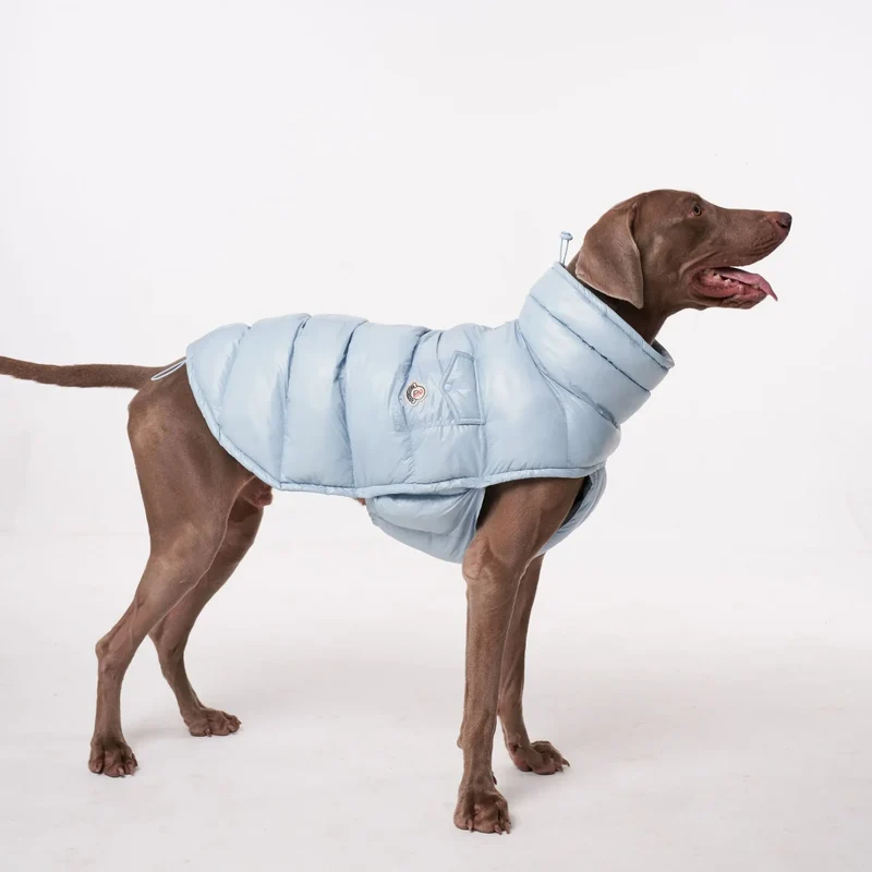 Doudoune pour Chien Avec Capuche Doublé Polaire