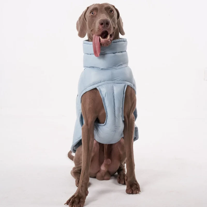 Doudoune pour Chien Avec Capuche Doublé Polaire