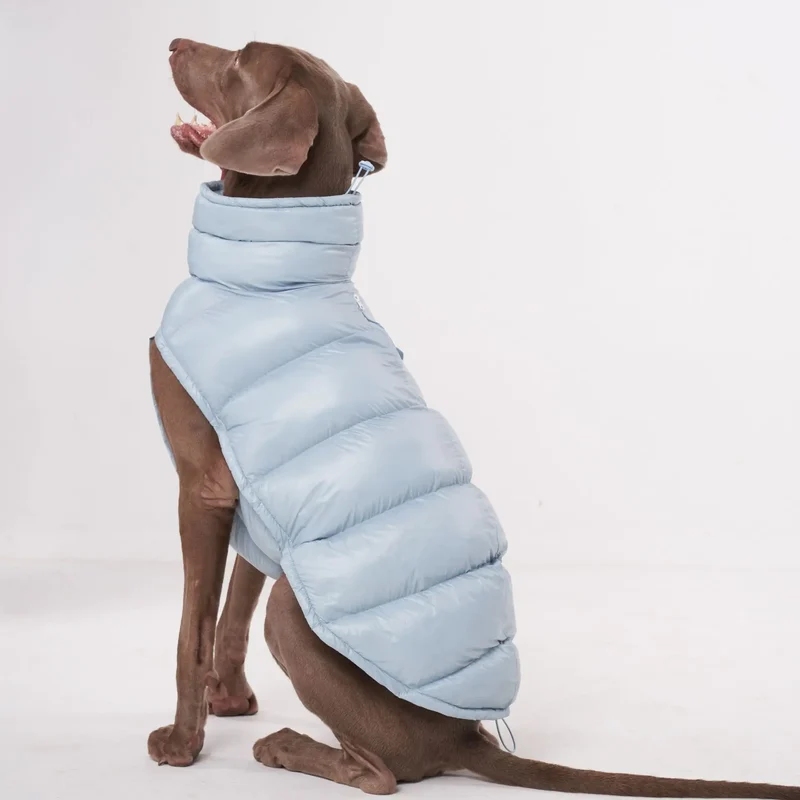 Doudoune pour Chien Avec Capuche Doublé Polaire