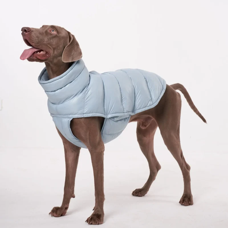 Doudoune pour Chien Avec Capuche Doublé Polaire