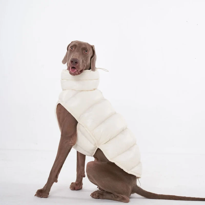Doudoune pour Chien Avec Capuche Doublé Polaire