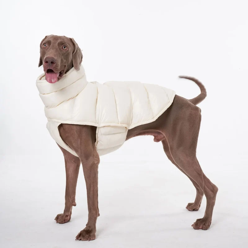 Doudoune pour Chien Avec Capuche Doublé Polaire