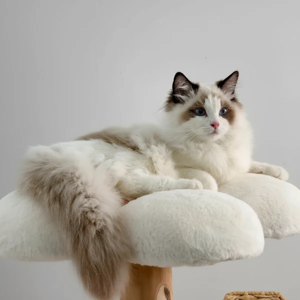 Arbre à chat griffoir en bois massif avec sisal - Oscar et Plume