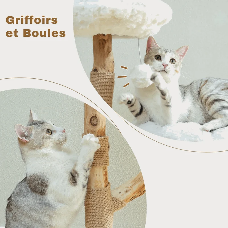 Arbre À Chat En Bois Avec Fleurs Et Perchoirs