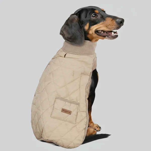 Manteau Hiver Matelassé Pour Teckel