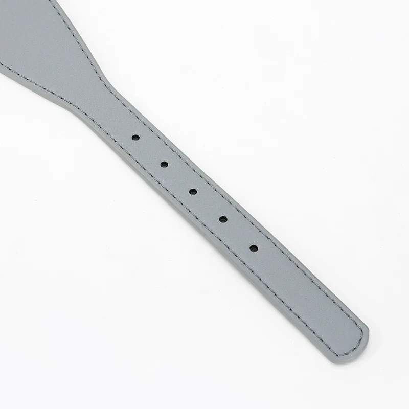 Ensemble Collier Et Laisse Souple Pour Lévrier