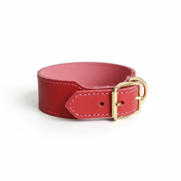 Collier Large Pour Chien En Cuir Qualité