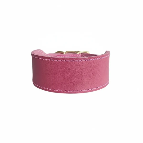 Collier Large Pour Chien En Cuir Qualité